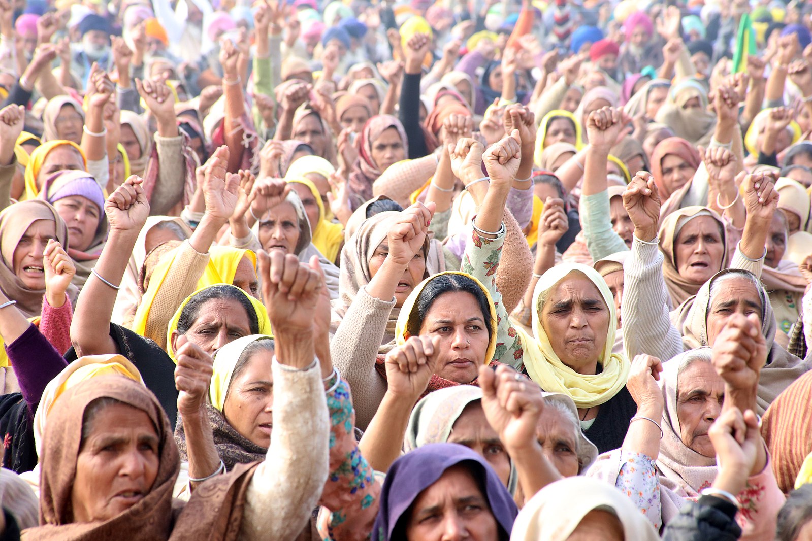 Farmers_Protest_at_Tikri_Border_Image_Randeep_Maddoke_Wikimedia_Commons 1